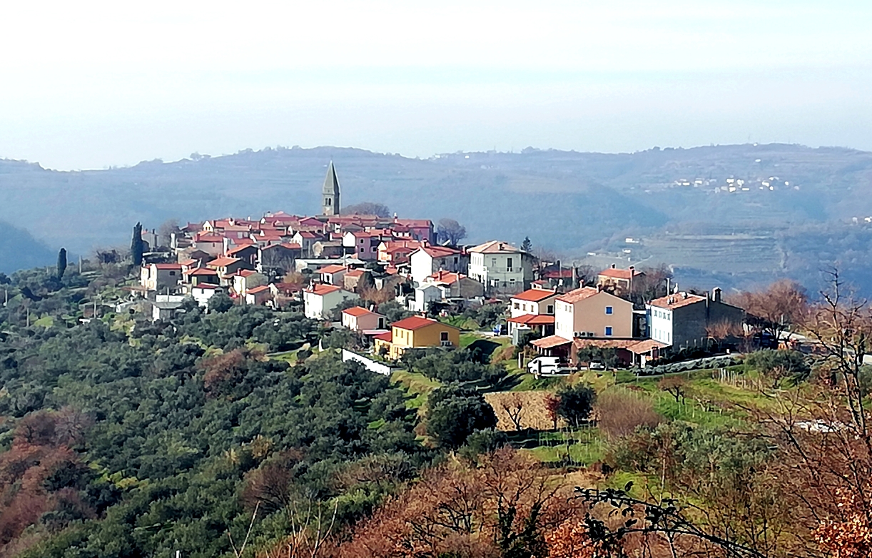 Živa Deu: Uporabnost in lepota strehe