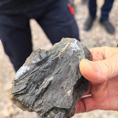 Plaz Slano blato: od naravne sile do inženirskega nadzora