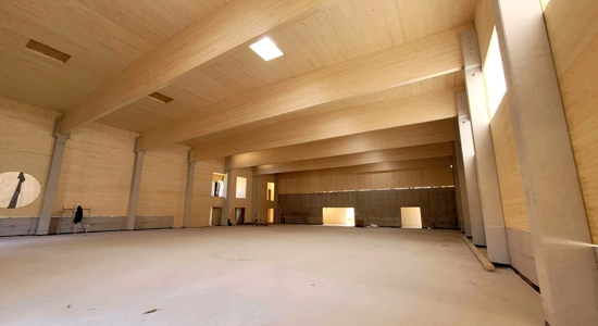 Dujič_Hibridna lesena konstrukcija športne hale Medlog Celje_1